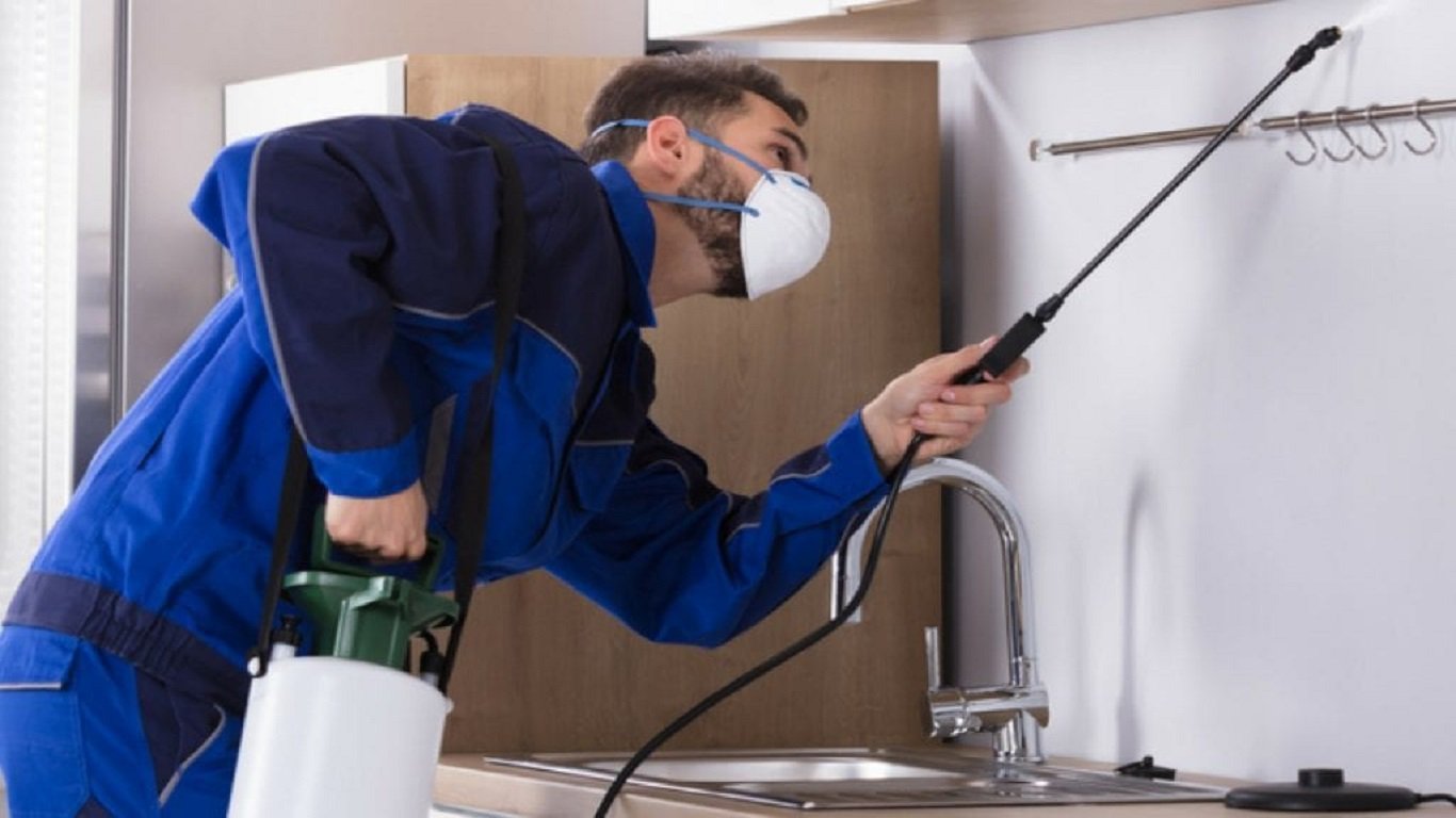 شركة مكافحة الصراصير