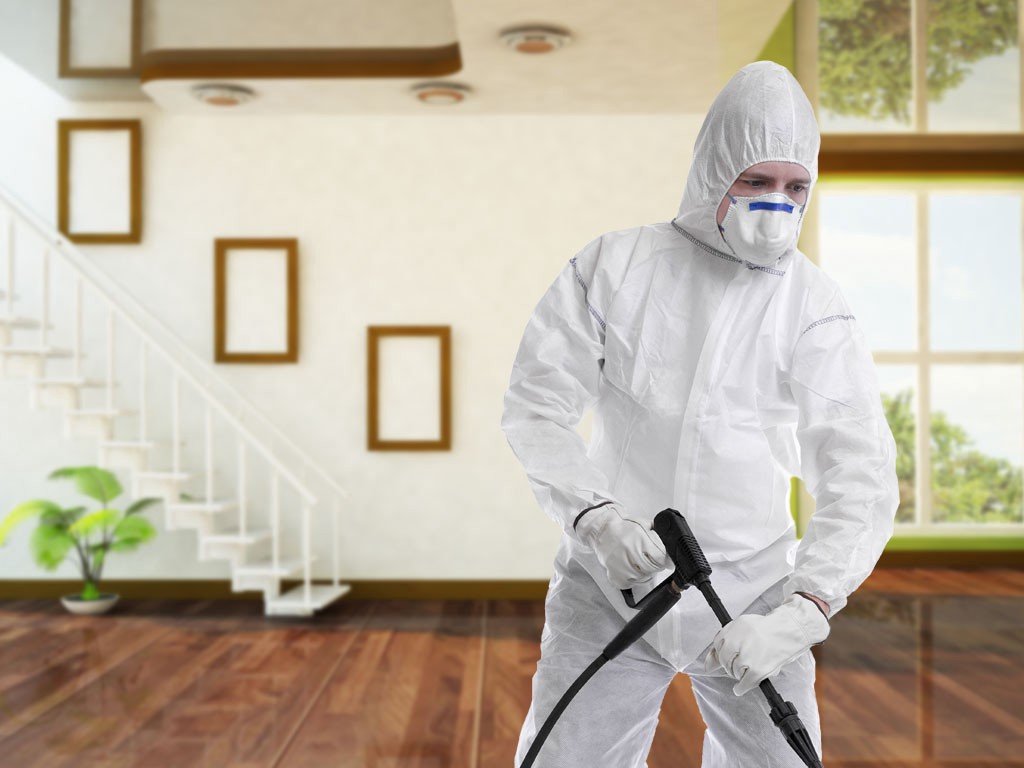 شركة رش حشرات