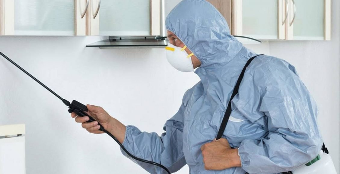 شركة رش حشرات